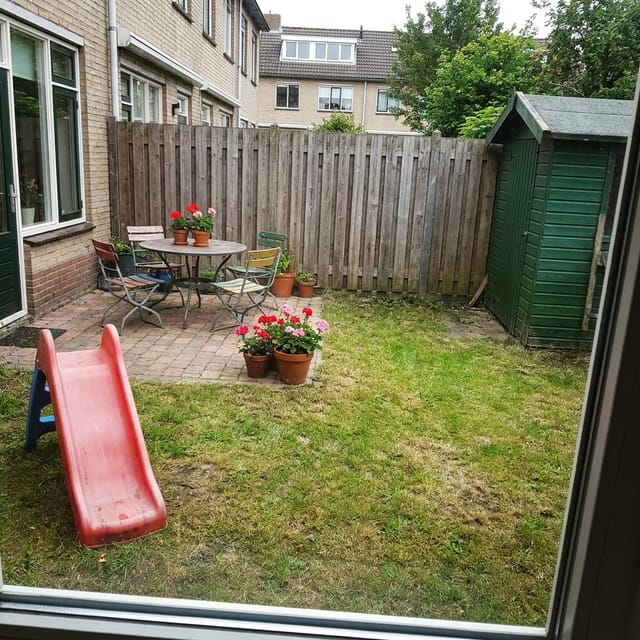 Foto van de tuin: gazon, houten schutting, groen schuurtje, rode glijbaan